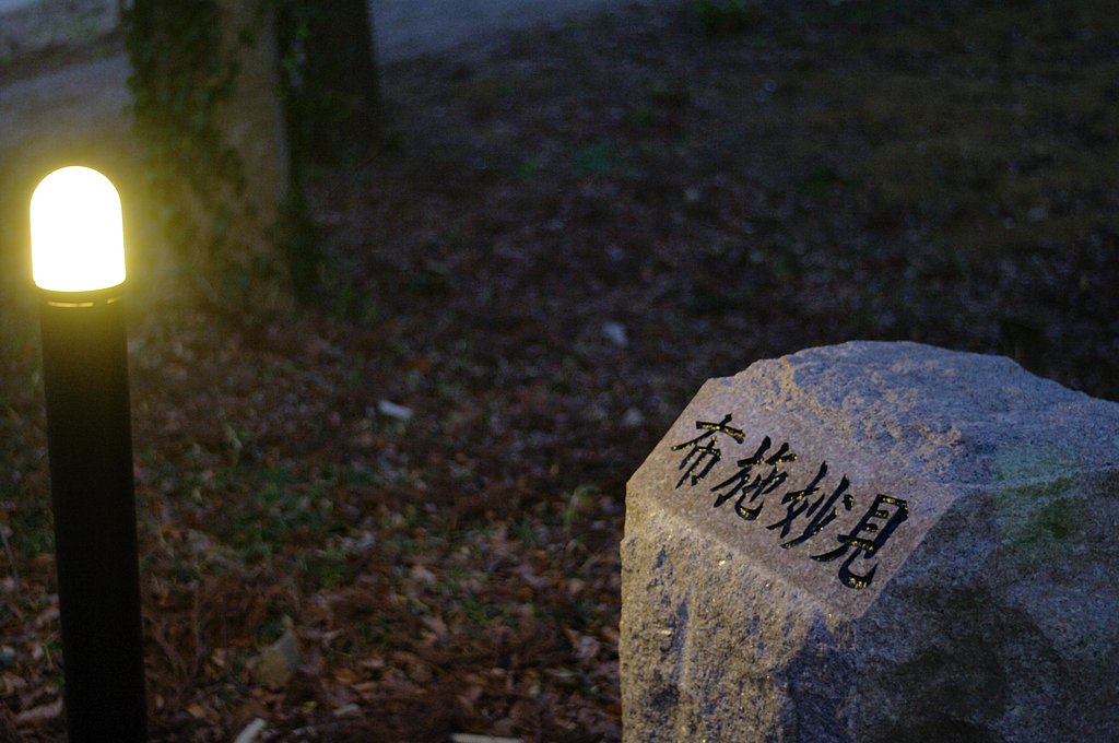 SMC-P M40/2.8