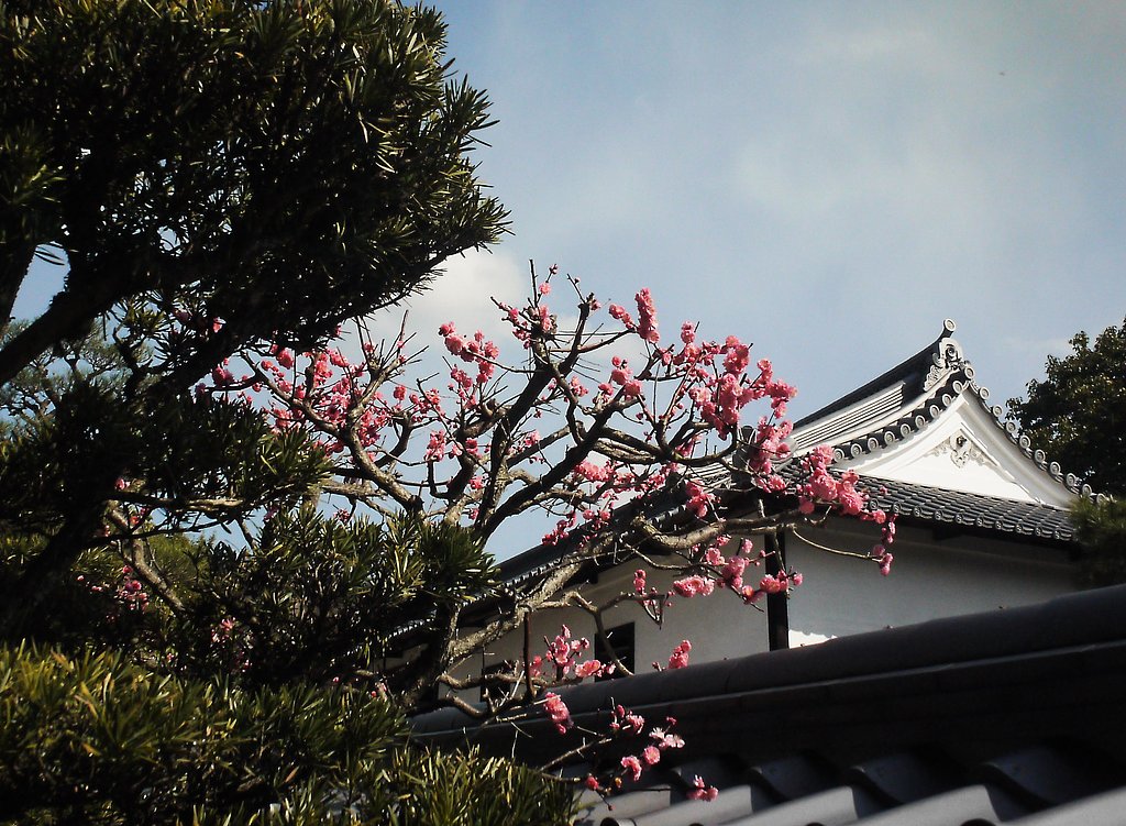 梅と屋敷