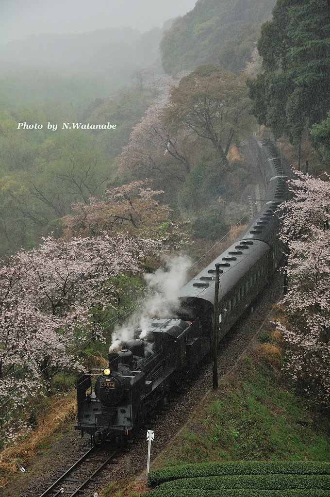 雨の日の9Kポスト