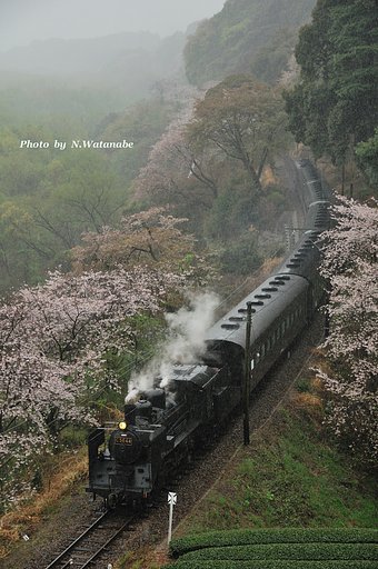 雨の日の9Kポスト