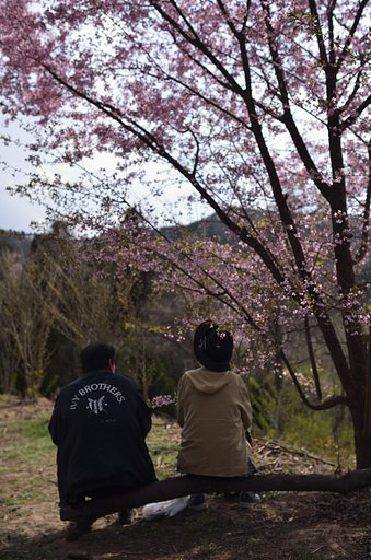 二人の春