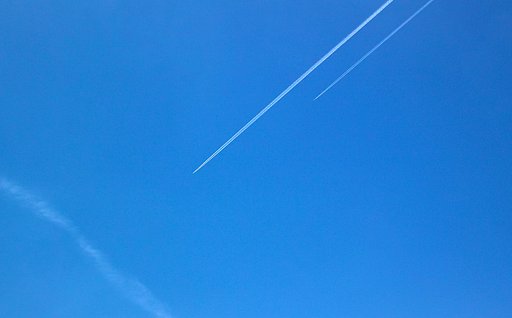 【おだやかに・・・春】の運動会の一位と二位