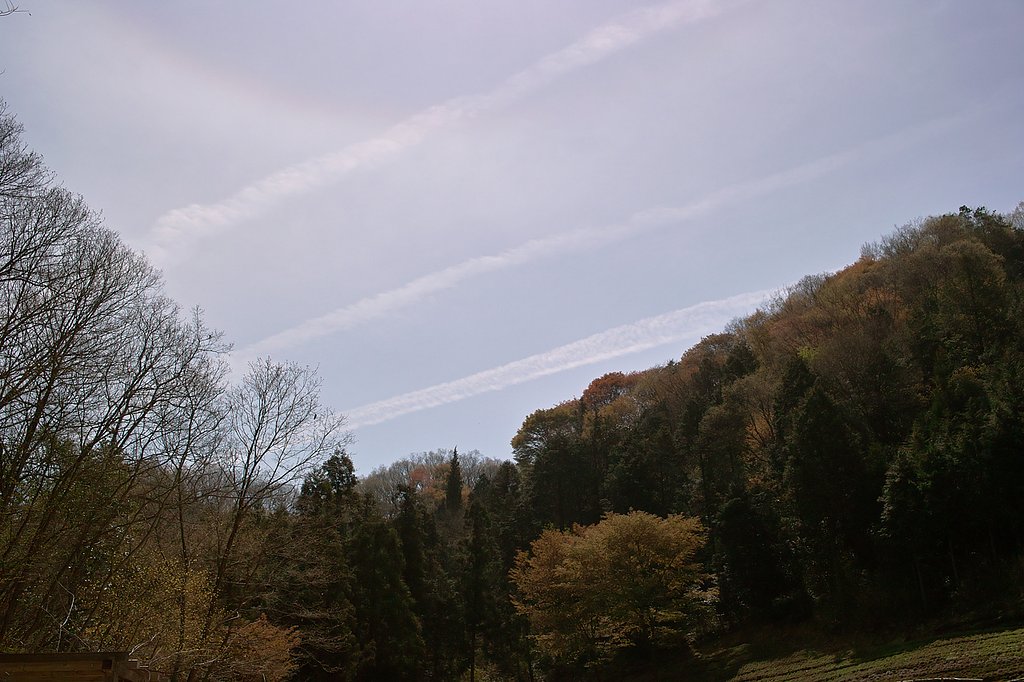 【おだやかに・・・春】彩雲ですか？違う？