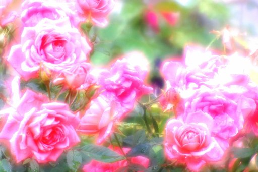 【この色　好き！】春の花＃15