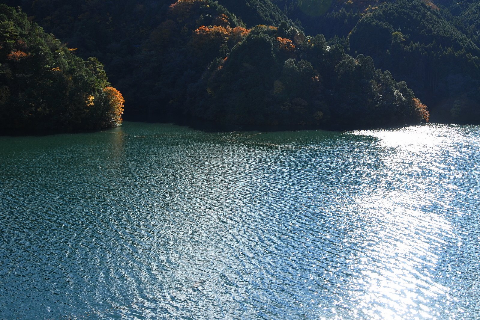 静かな湖畔の・・・♪