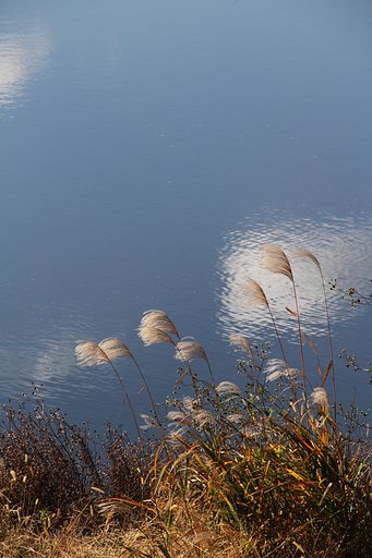 風がくれたもの
