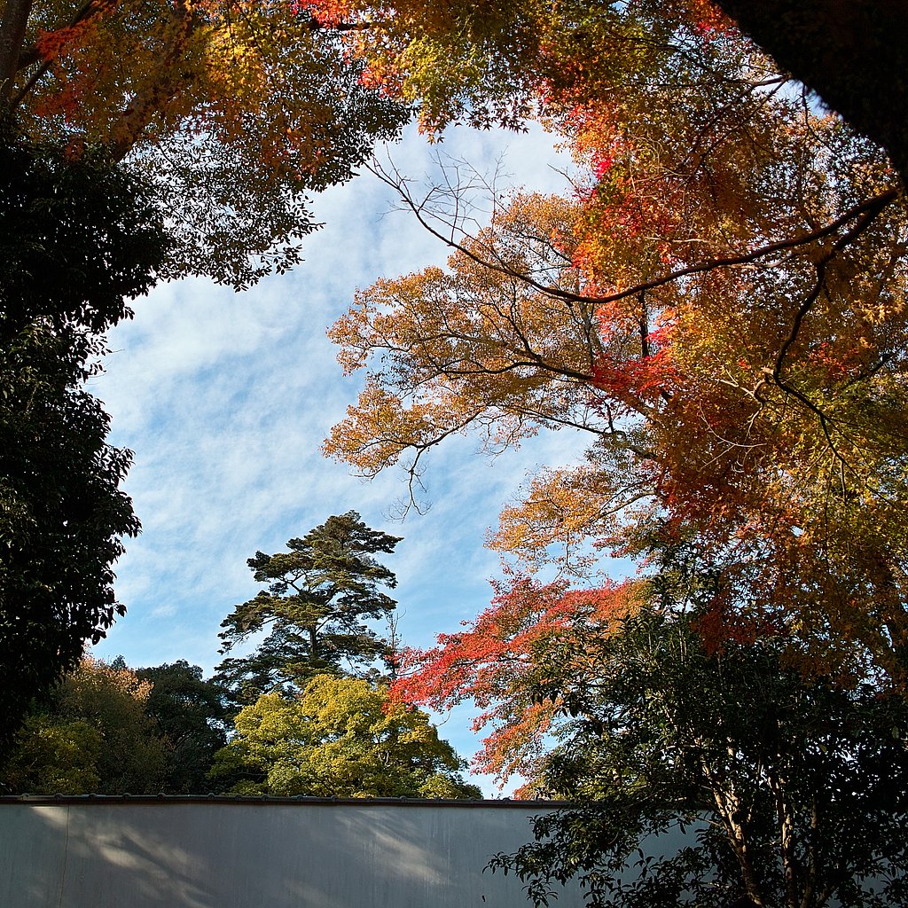 【絵のような】景色