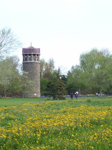 この公園で・・・