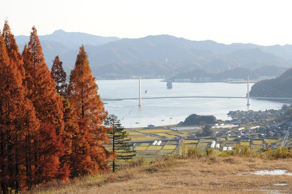 紅葉も終わりー2