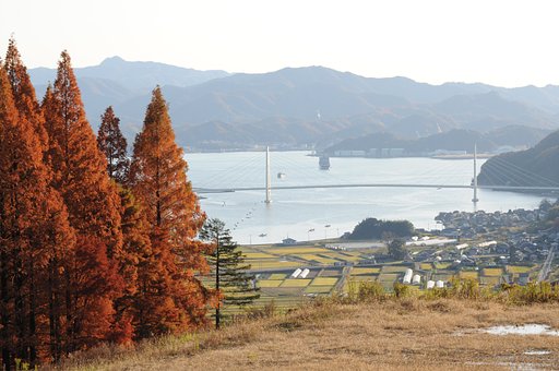 紅葉も終わりー2