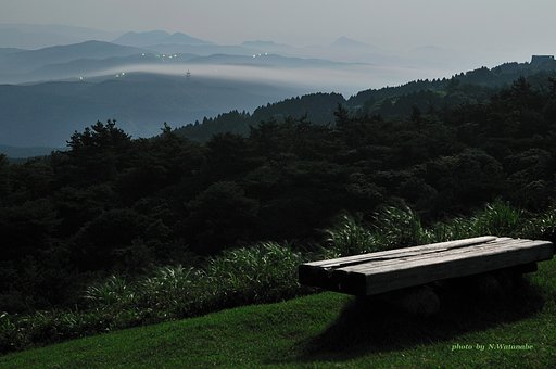 月明かり・・