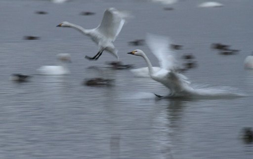 お帰りなさい