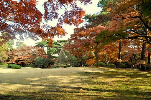 殿ヶ谷戸庭園の紅葉
