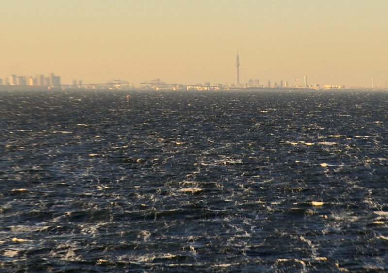 スカイツリーと東京湾臨海大橋