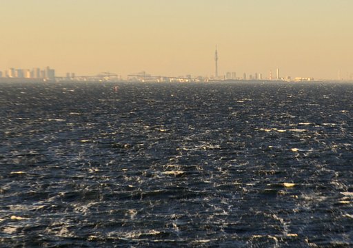 スカイツリーと東京湾臨海大橋