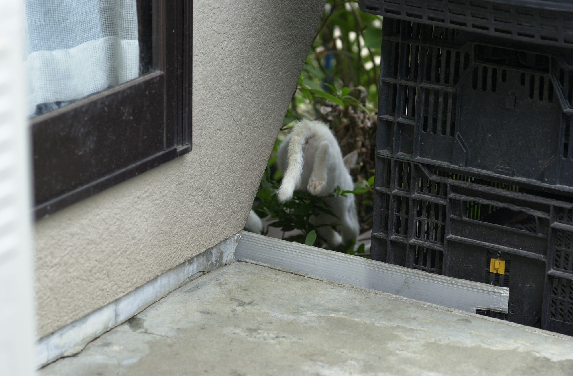 報道写真失敗くやしぃ〜。