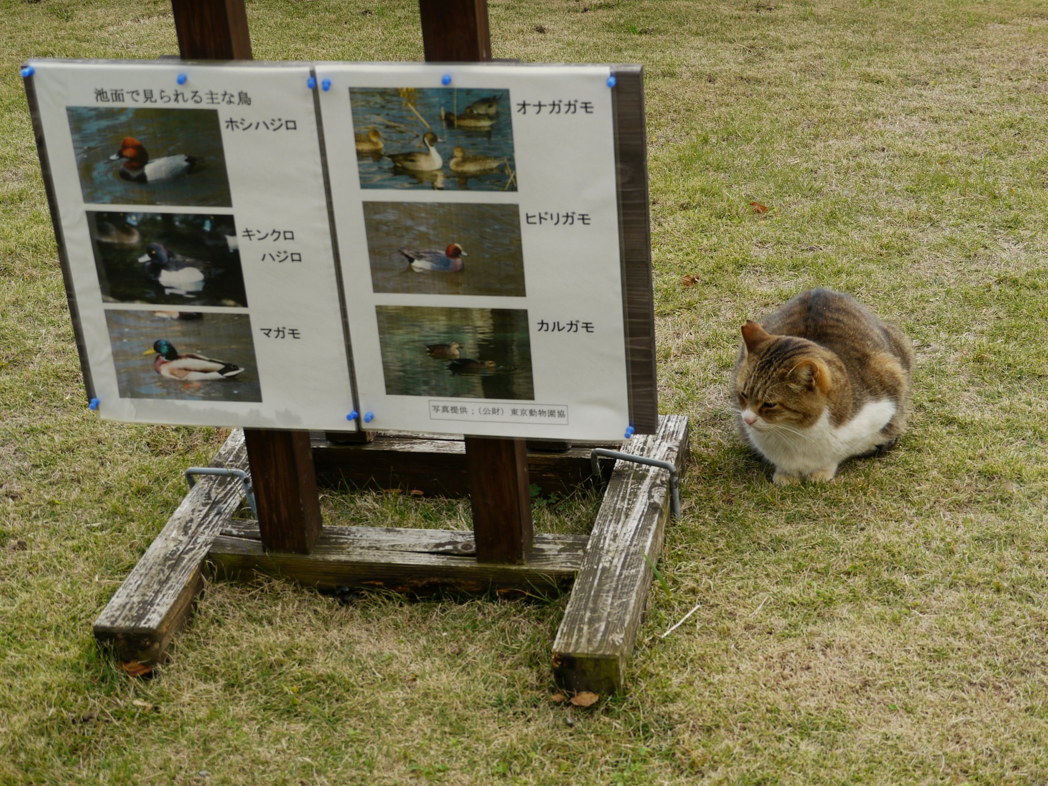 手ブレしてるカモ