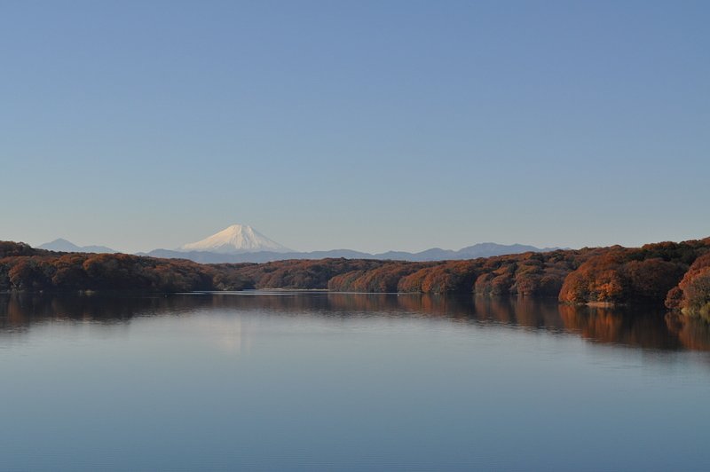 富士山と紅葉