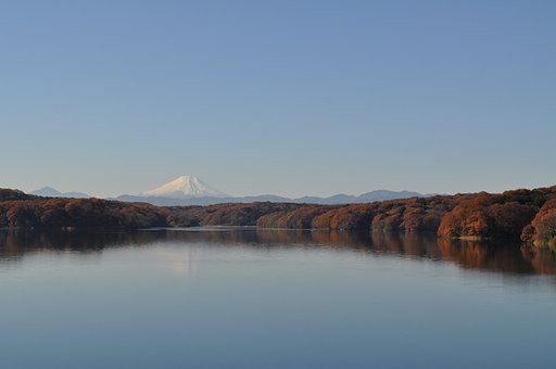 富士山と紅葉