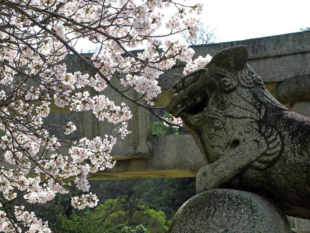 【おだやかに・・・春】花見
