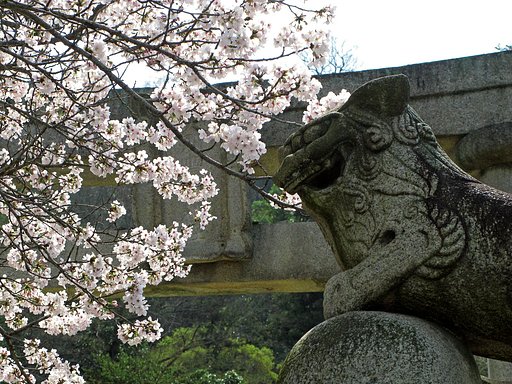 【おだやかに・・・春】花見