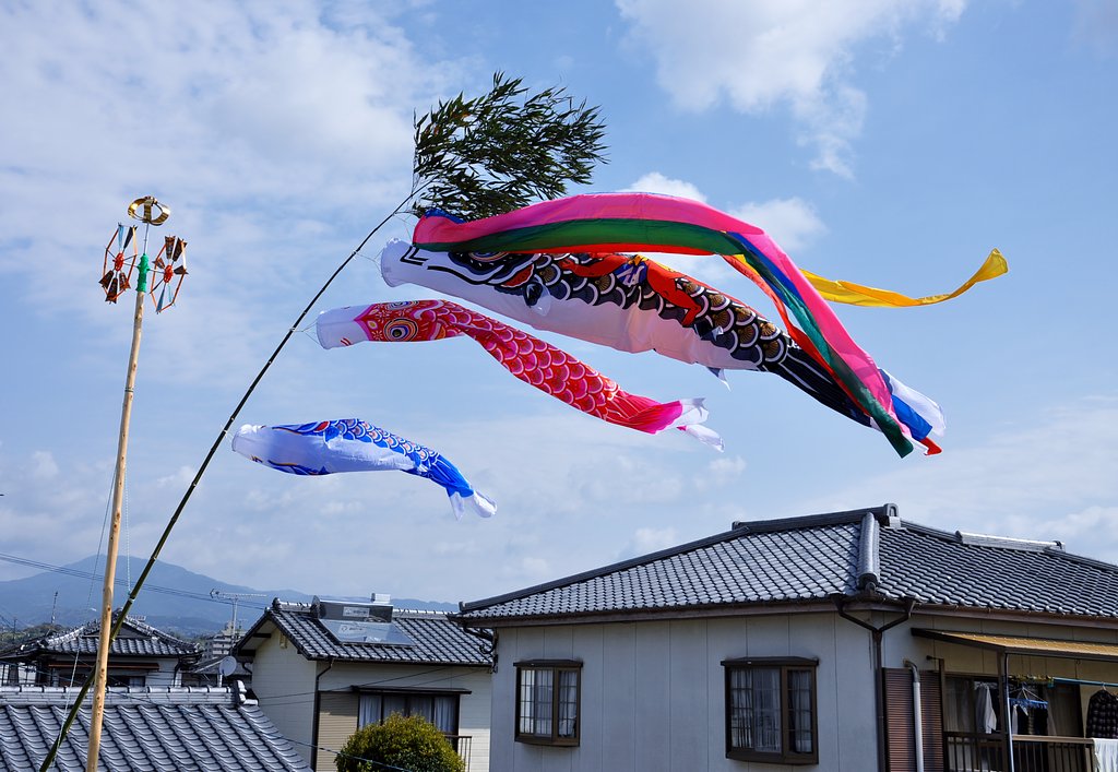 屋根より高い
