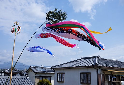屋根より高い