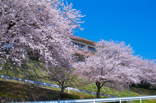 校舎・・・