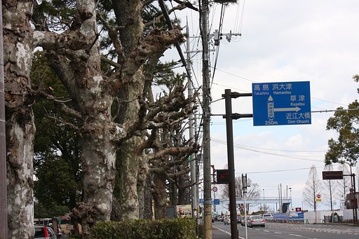 あっちむいて　ほい