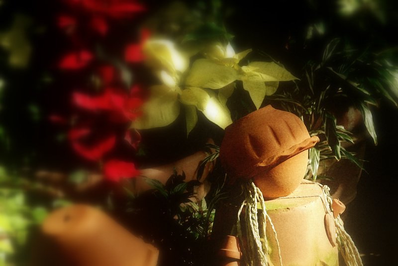 初・ピカサ