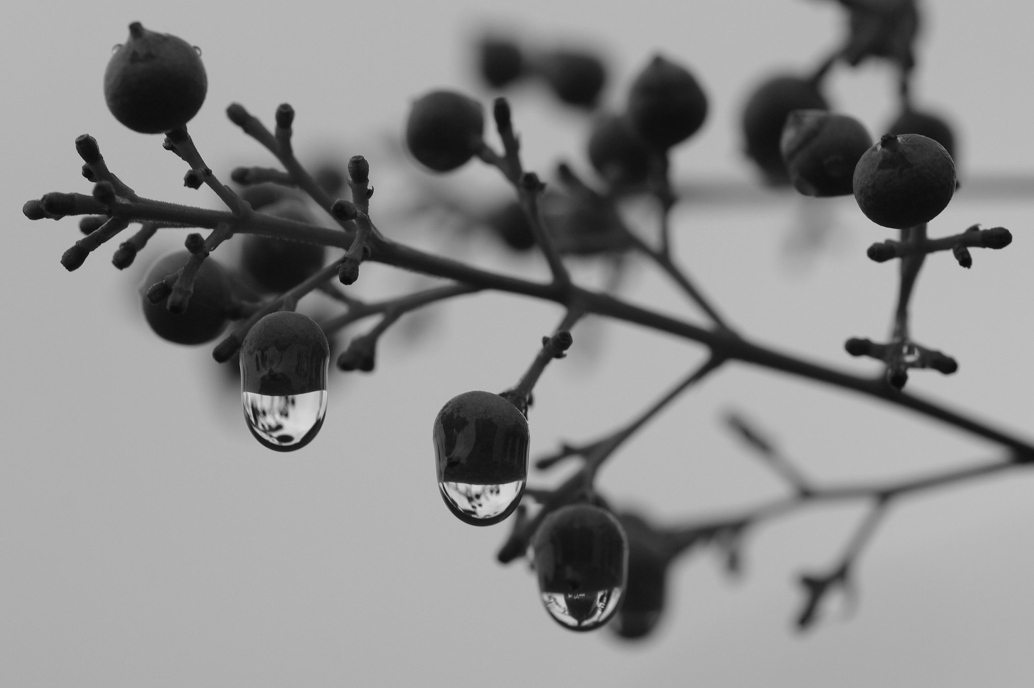雨が上がって