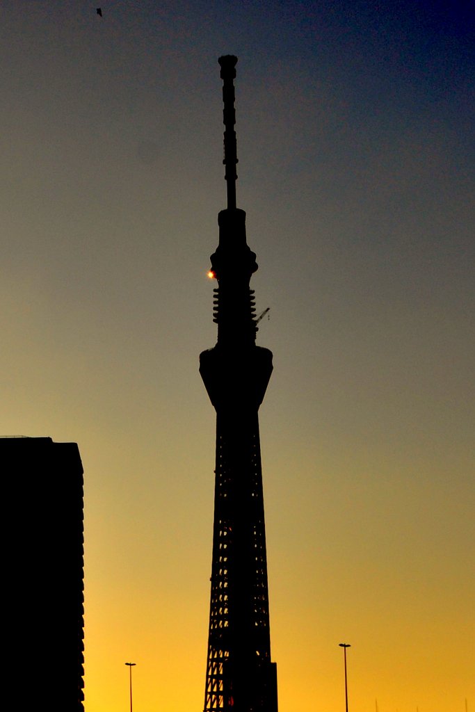 【縦撮り】早朝の東京スカイツリー