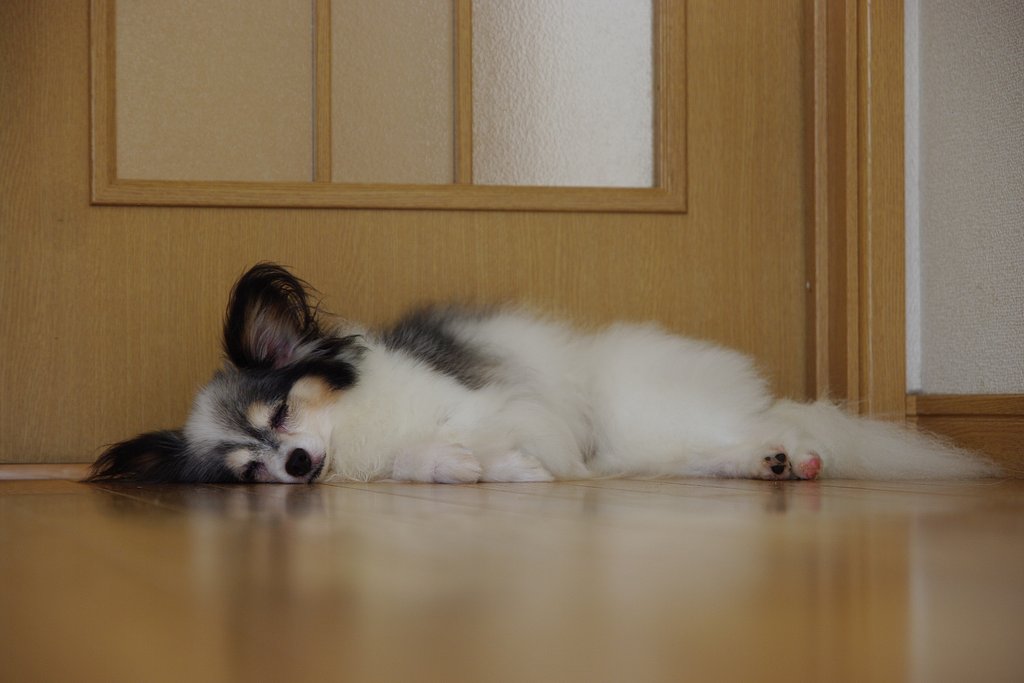 退院お疲れ様