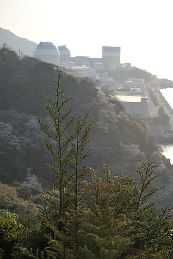 愛媛県四国電力伊方原発-2