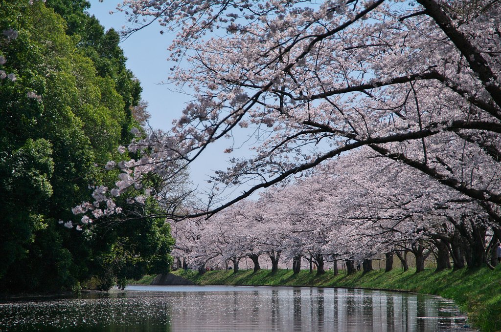 【おだやかに・・・春】流れ行く・・・