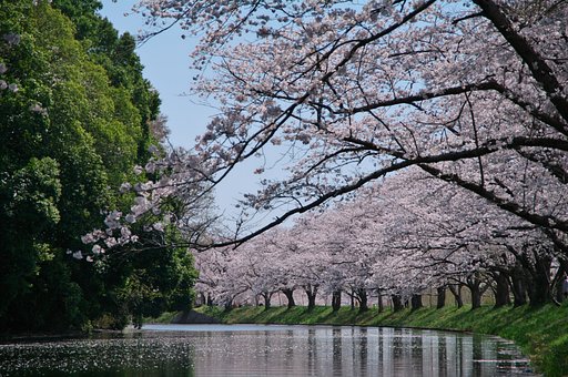 【おだやかに・・・春】流れ行く・・・