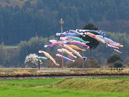 風に泳ぐ