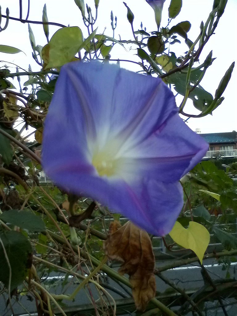 接写テスト２