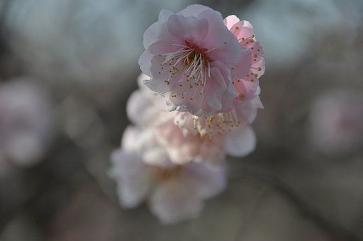 パステルな気分