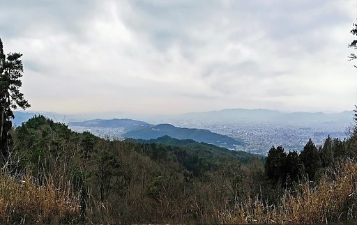 【この色、好き！】春がすみ