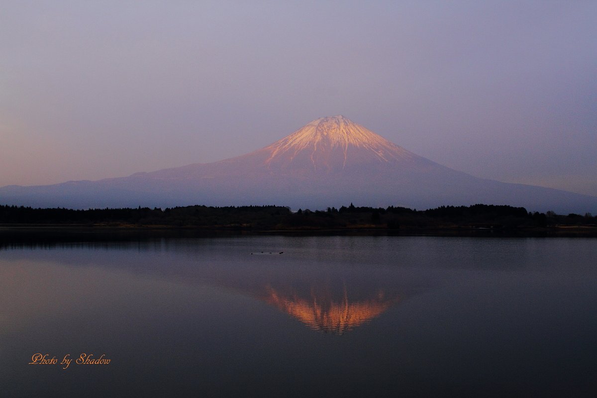 あきらめて・・・