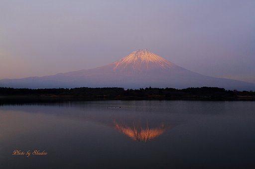 あきらめて・・・