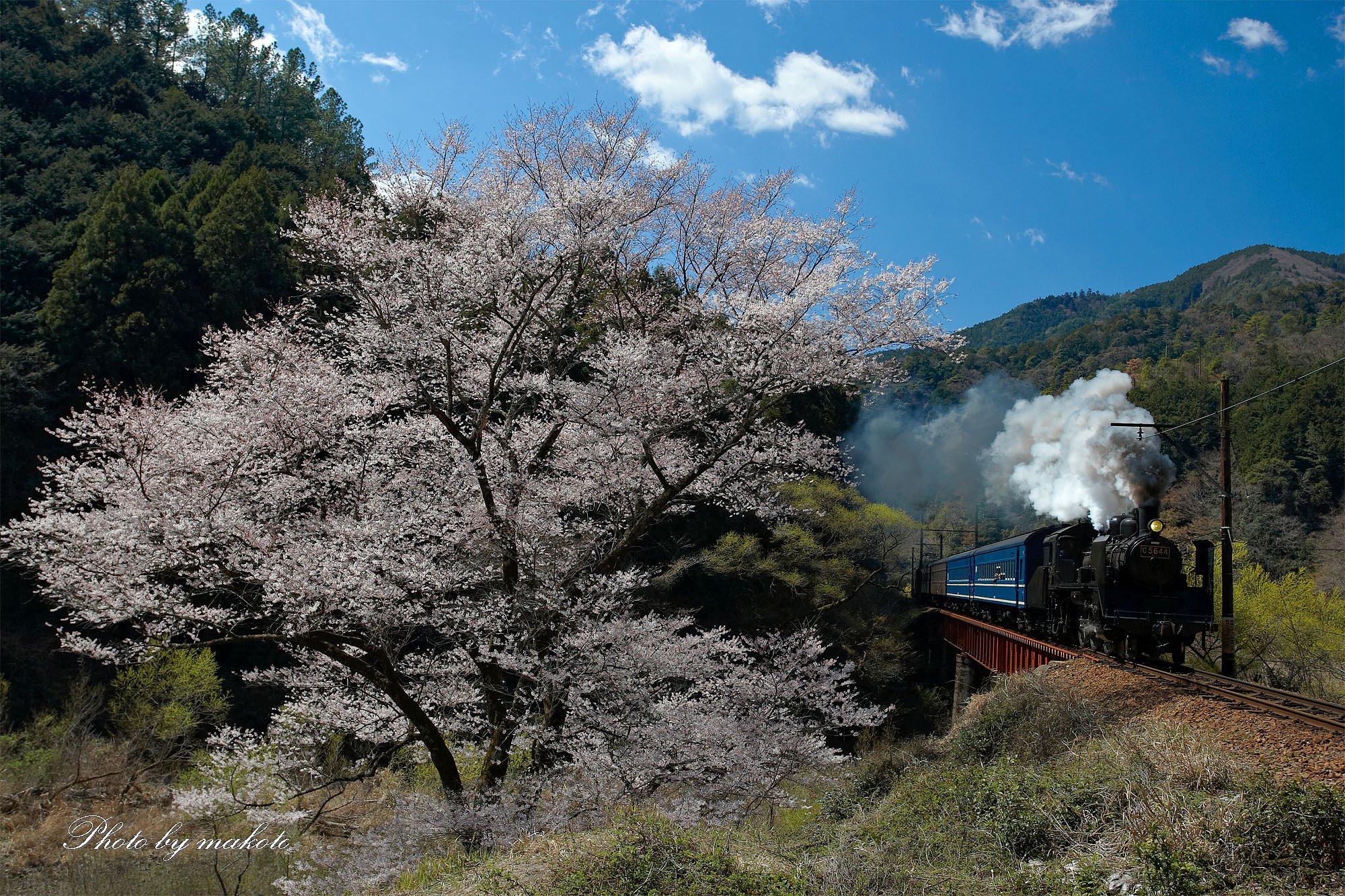 一足早く花見列車