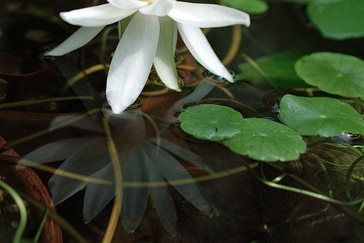 水の【肌】触り
