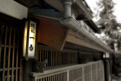 3月5日の写真