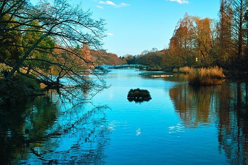 冬の井の頭公園