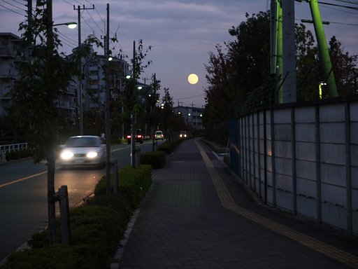 夕焼けの反対側