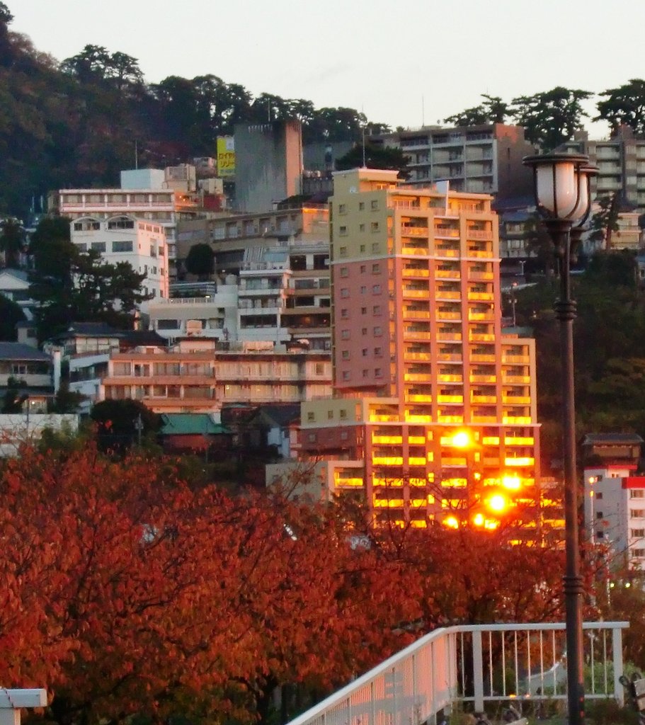 今日の日の出（１２/８）