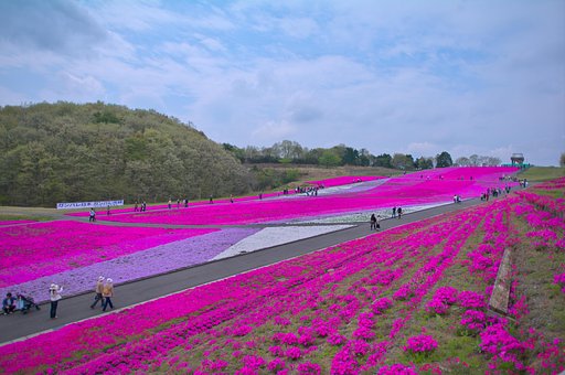 カラフルな絨毯・・・