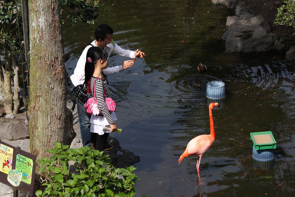 こっち向いて〜